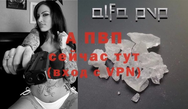 индика Верхний Тагил