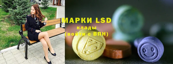 индика Верхний Тагил