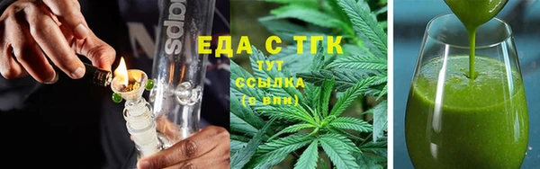 индика Верхний Тагил