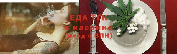 индика Верхний Тагил