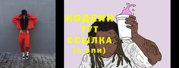 индика Верхний Тагил
