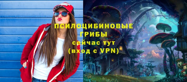 индика Верхний Тагил