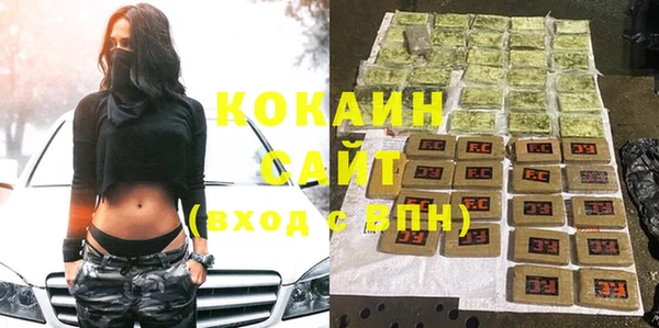 индика Верхний Тагил
