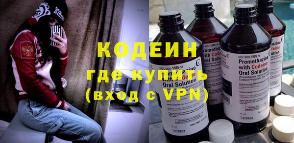 индика Верхний Тагил
