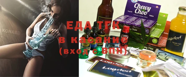 индика Верхний Тагил