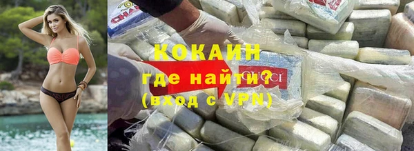 индика Верхний Тагил