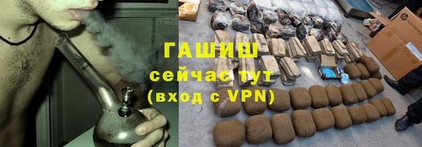 индика Верхний Тагил