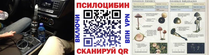 дарнет шоп  Яровое  Галлюциногенные грибы Psilocybine cubensis 